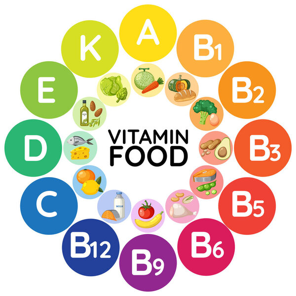 Иллюстрация различных пищевых групп по содержанию витаминов