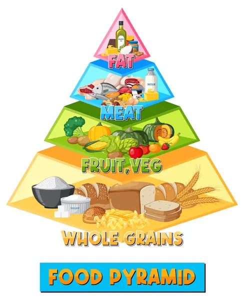 Colorful Cartoon Illustration Depicting Food Pyramid Infographic — Stock Vector