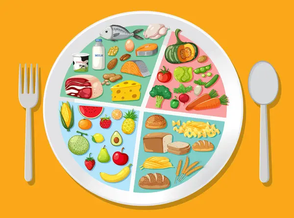 按食物类别划分的盘子的图解 — 图库矢量图片