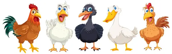 Five Different Birds Standing Row — Stock Vector
