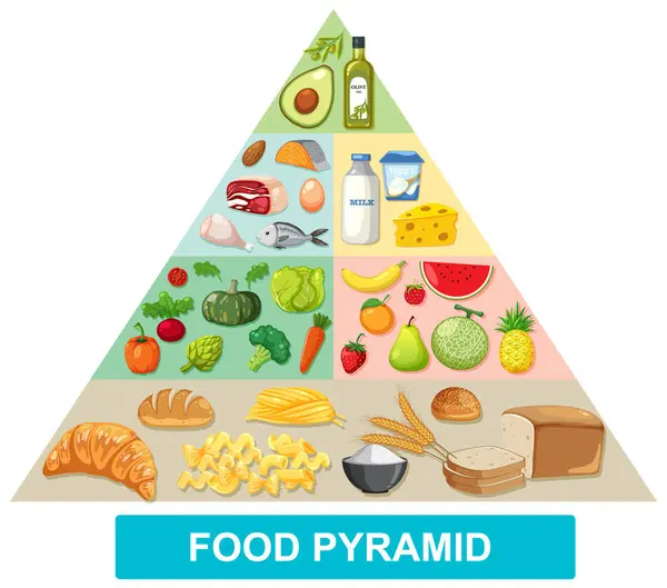 Pirâmide Alimentar Ilustrada Com Vários Grupos Alimentares — Vetor de Stock