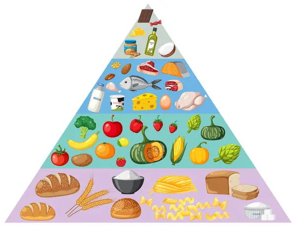 Иллюстрированная Пищевая Пирамида Различными Группами Продуктов Питания — стоковый вектор