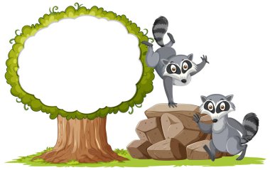 İki rakun, yemyeşil bir ağacın yanında oynuyor..