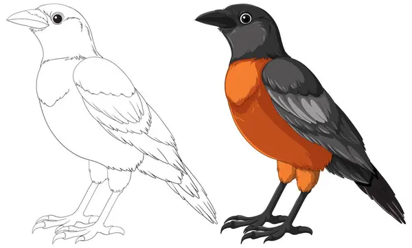 Рисунок Цветная Иллюстрация Птицы Бок Бок — стоковый вектор