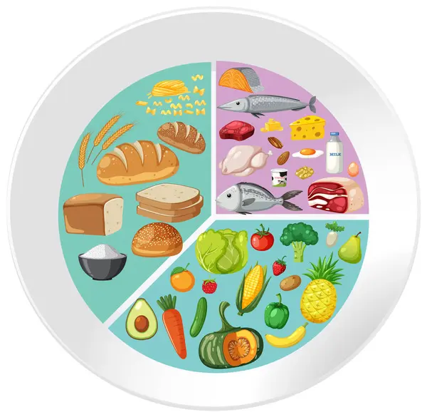 Ilustrasi Berbagai Kelompok Makanan Dengan Warna Yang Hidup - Stok Vektor