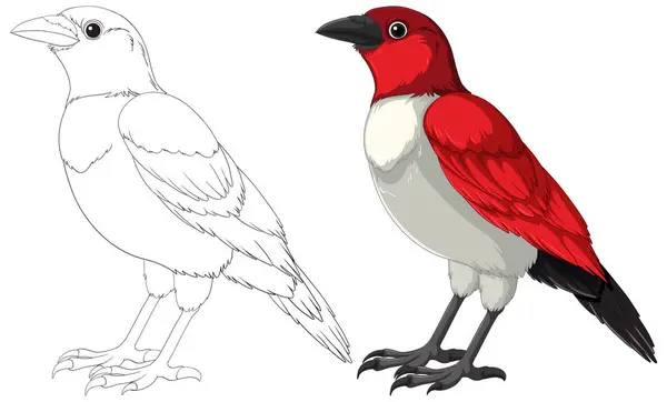 Vektorillustration Eines Vogels Von Der Skizze Zur Farbe Stockillustration