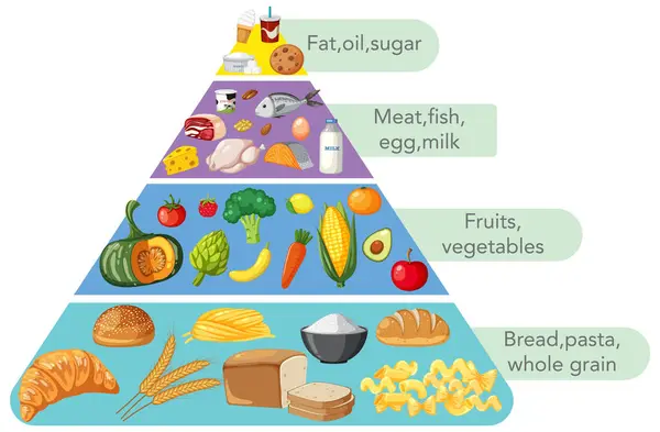 Pirámide Alimentos Ilustrada Con Varios Grupos Alimentos — Archivo Imágenes Vectoriales