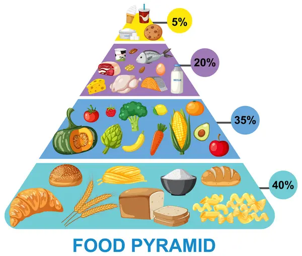 Ilustración Vectorial Una Pirámide Alimenticia Nutricional — Archivo Imágenes Vectoriales