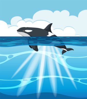 Canlı bir okyanustaki bir balinanın vektör çizimi.