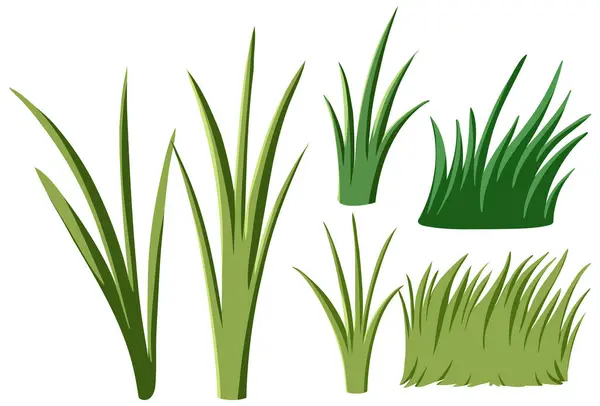 Vector Set Different Grass Designs — Stock Vector