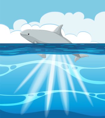 Suyun üstünde ve altında bir köpekbalığının vektör çizimi.