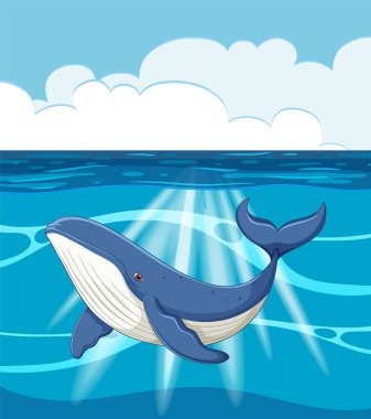 Güneşin altında yüzen mavi bir balina