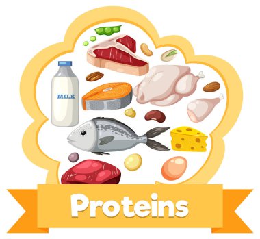 Çeşitli protein kaynaklarının gösterimi