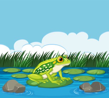 lily pad üzerinde oturan yeşil kurbağa