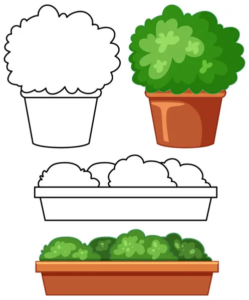 stock vector Vector illustration of potted plants and shrubs