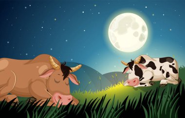 İki inek ay ışığında huzur içinde dinleniyor.