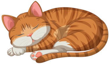 Huzurlu bir kedi hilal altında uyuyor.