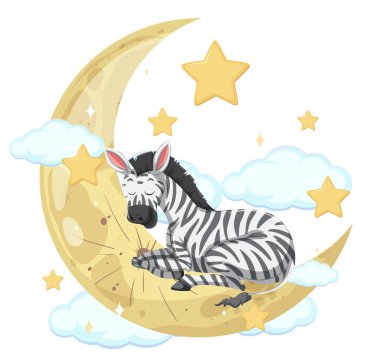 Bir zebra hilal ayında huzur içinde uyur.