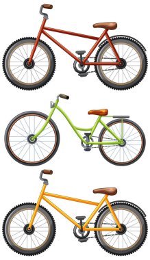 Bir sıralamada üç canlı bisiklet görüntülendi