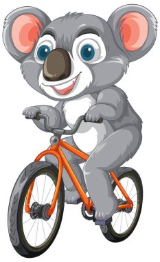 Şirin koala turuncu bir bisiklette mutlu bir şekilde bisiklet sürüyor.