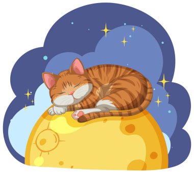 Parlayan ay üzerinde bir kedi dinleniyor