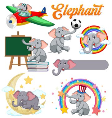 Filler gökkuşağıyla uçar, çalışır ve oynarlar.