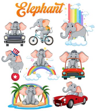 Filler çeşitli eğlenceli ve renkli aktivitelerin tadını çıkarıyorlar