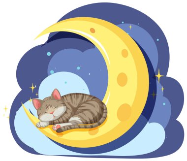 Bir kedi hilal ayında huzur içinde uyur.