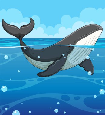 A whale gracefully swimming in the ocean clipart