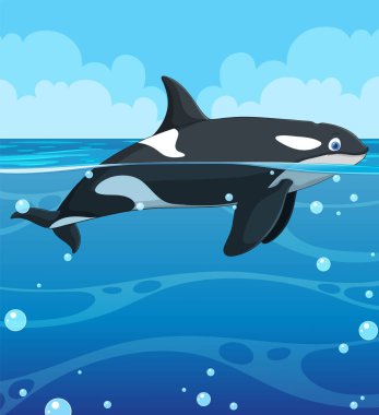 Mavi okyanusta bir balina tasviri