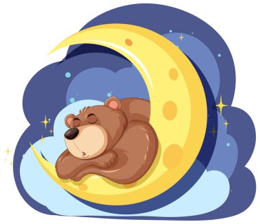 Sevimli ayı Hilal ayında huzur içinde uyuyor.