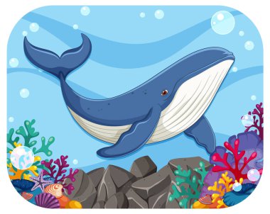 Renkli mercanlar ve kayalar arasında yüzen bir balina