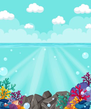 Renkli mercan ve deniz canlıları berrak suyun altında