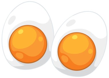 Canlı yumurta sarısı ve pürüzsüz gölgelendirmeli iki kaynamış yumurtanın parlak vektör çizimi