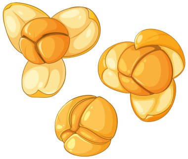Canlı renkler ve pürüzsüz gölgeleme ile Jackfruit tohumlarının ayrıntılı vektör çizimi, eşsiz dokusu ve şekli vurgulanıyor