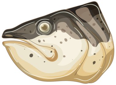 Topraksı tonları ve pürüzsüz gölgeleme ile somon başının vektör çizimi, belirgin özelliklerini ve dokularını vurguluyor.