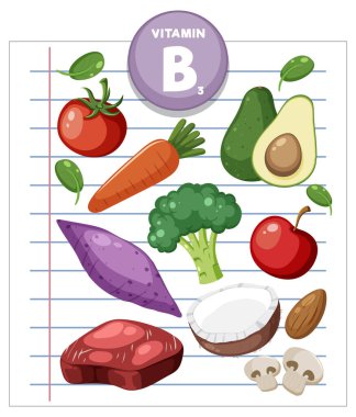 Sebze, meyve, et ve fındık içeren B3 vitamini kaynaklarının renkli vektör çizimi düz dizaynlı defter kağıdına düzenlenmiştir.