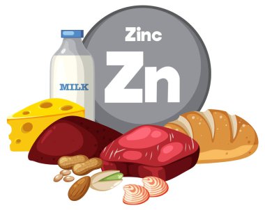 Süt, peynir, kırmızı et, ekmek, fındık ve kabuklu deniz ürünleri içeren çinko zengini gıdaların düz, renkli bir tasviri