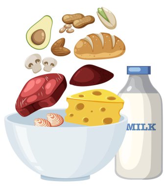 Etli, peynirli, balıklı, fındıklı, ekmekli ve sütlü çeşitli protein kaynakları beyaz arkaplanlı temiz, renkli bir vektör çiziminde düzenlenmiştir.