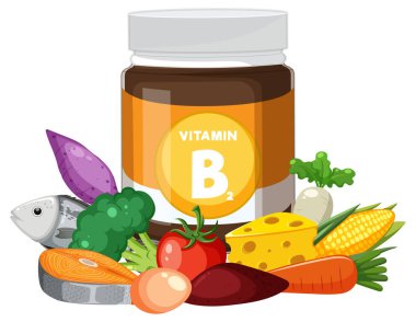 Balıklar, sebzeler, peynirler ve renkli düz dizayn tarzında tahıllarla çevrili bir B2 vitamini kavanozunun vektör çizimi