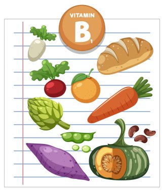 Çizgili kağıt üzerinde düzenlenmiş çeşitli B1 vitamini zengin gıdaların renkli vektör çizimi, düz çizgiler, düz renkler ve basit kompozisyon
