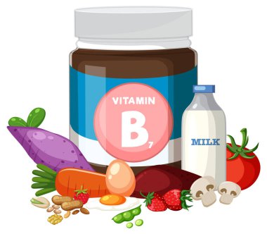 B7 vitamini katkı kavanozunun düz vektör çizimi. Parlak renkli biotin zengini gıdalar..