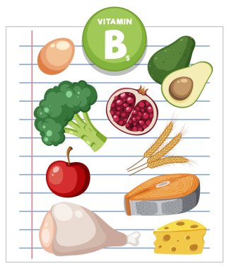 B5 vitamini besin kaynaklarının renkli vektörü: balık, kümes hayvanı, peynir ve çeşitli üretimler.