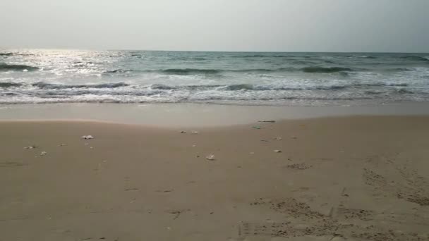 Spokojne Piękno Wybrzeża Binh Thuan Beach Anteny — Wideo stockowe