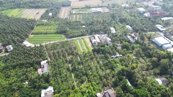 Landlicher Charme Bezaubernde Felder Und Ruhige Häuser Von Tien Giang — Stockvideo