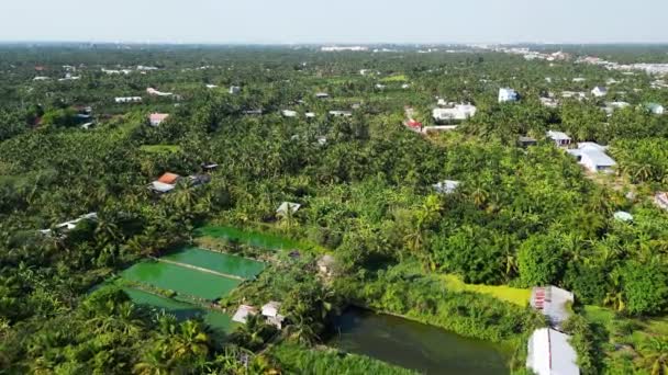Mantra Perdesaan Ladang Menawan Dan Rumah Serene Tien Giang — Stok Video