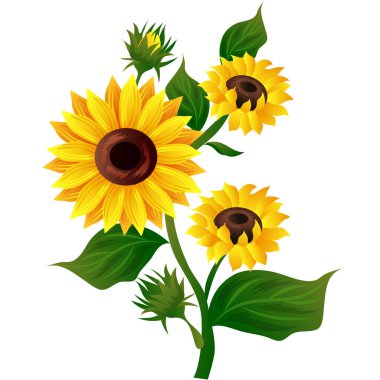 sun flower illustration vector, clip art vector clipart