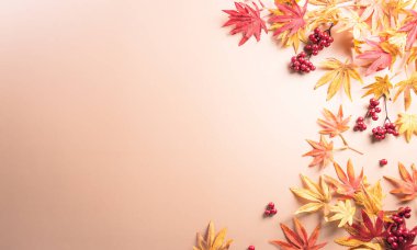 Autumn and thanksgiving decoration concept made from autumn leaves, berry and pumpkin on dark background. Flat lay, top view with copy space.