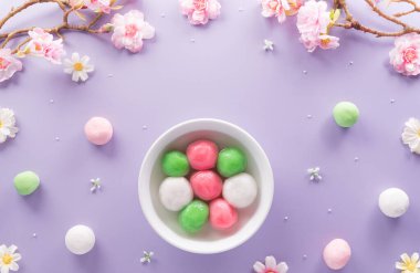Tang Yuan (tatlı köfte topları), geleneksel bir sonbahar ortası mutfağı, Dongzhi (kış gündönümü) ve Çin 'de yeni yıl pastel arka planda erik çiçekleri..