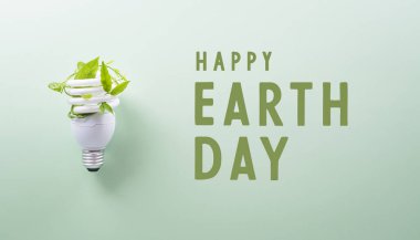 Yeşil çevre dostu kavram ampul ve taze yapraklardan yapılmıştır. Enerji tasarrufu, ekoloji, dünya günü ve çevre sürdürülebilir kaynak koruma kavramı.